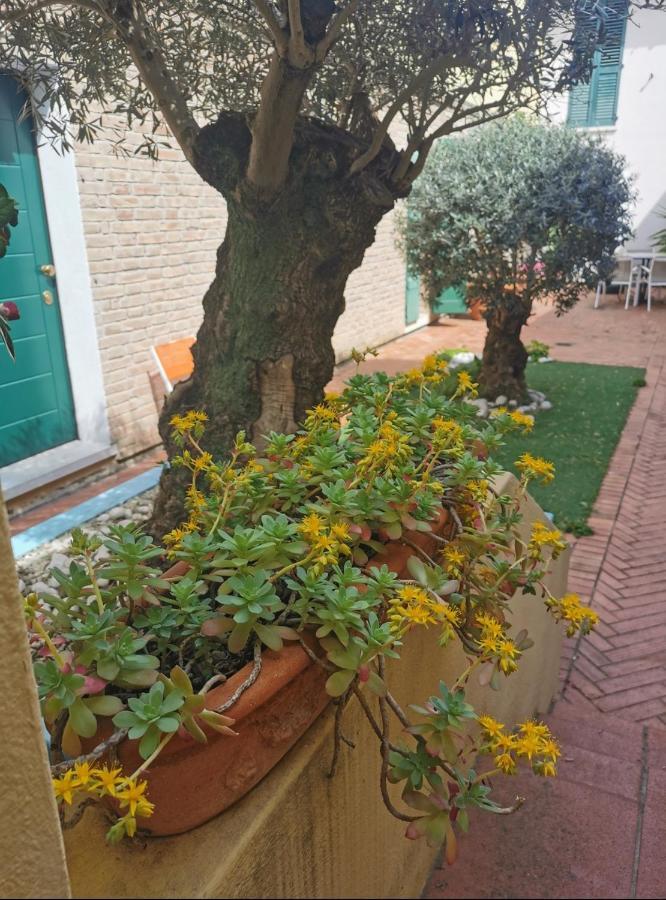 B&B La Chicca Ravenna Exterior photo