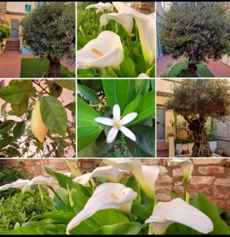 B&B La Chicca Ravenna Exterior photo